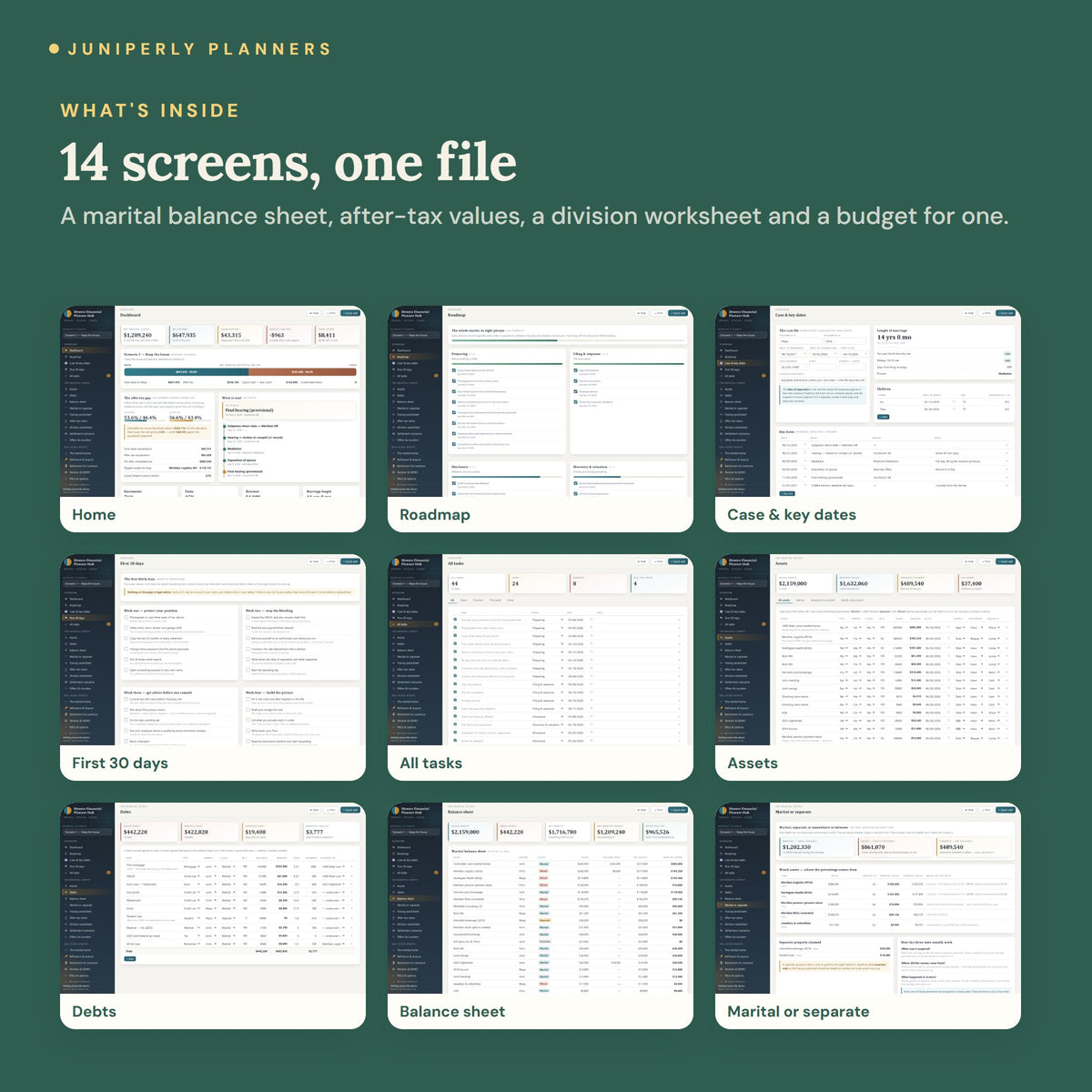 Divorce Financial Planner Hub - every screen inside