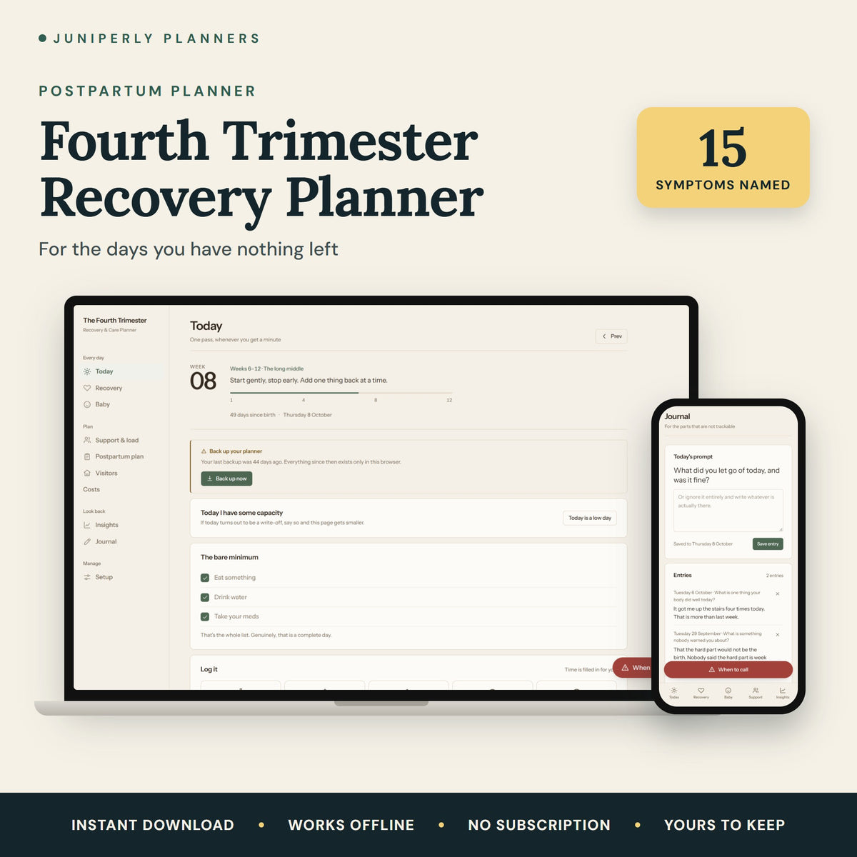 Fourth Trimester Recovery Planner - overview