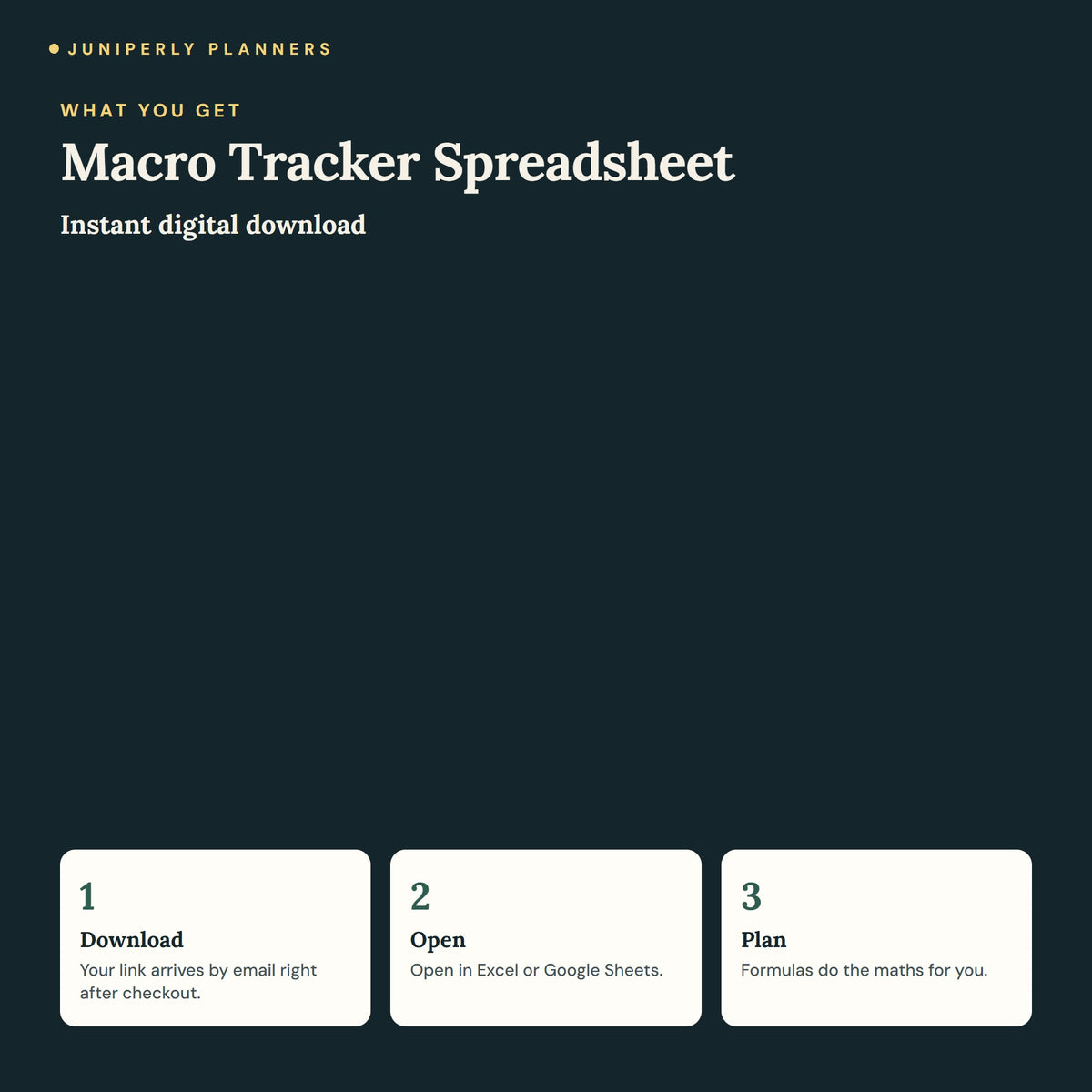 Macro Tracker Spreadsheet - what you get